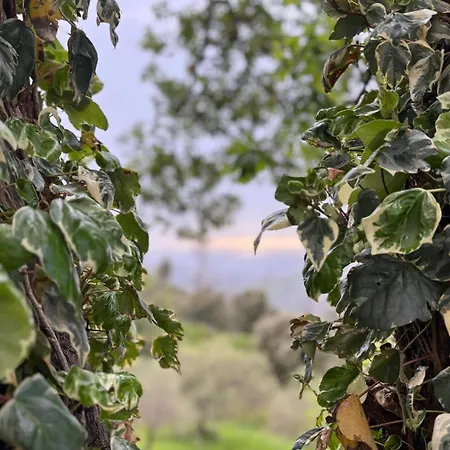 Oasi Di Pace Tra Mare E Natura, Cefalu Prázdninový dům Lascari